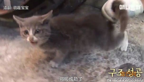 她不知妈妈死了，把捡到的肉喂给妈妈，自己胃里全是石头···-15.jpeg