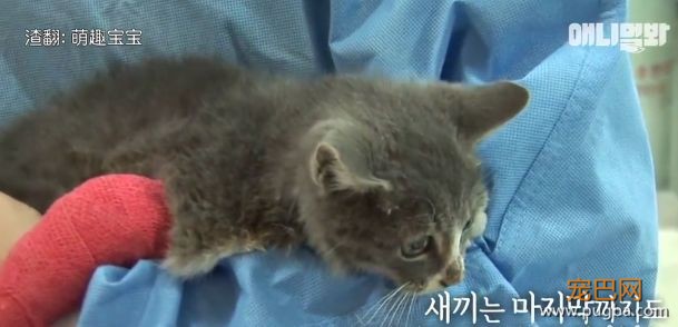 她不知妈妈死了，把捡到的肉喂给妈妈，自己胃里全是石头···-24.jpeg