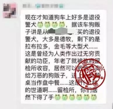 退役警犬卖给狗贩？其实警犬们的退休生活是这样的...-1.jpeg