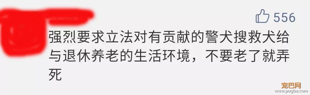 退役警犬卖给狗贩？其实警犬们的退休生活是这样的...-2.jpeg