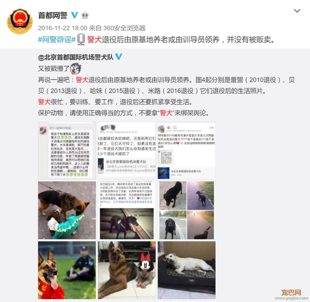 退役警犬卖给狗贩？其实警犬们的退休生活是这样的...-5.jpeg