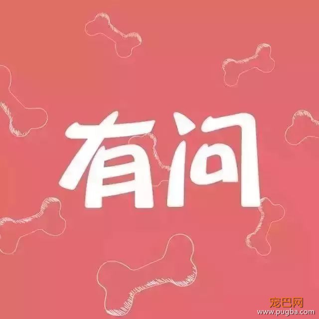 眼屎泛滥，狗狗心灵的窗户全被结膜炎毁了-1.jpeg