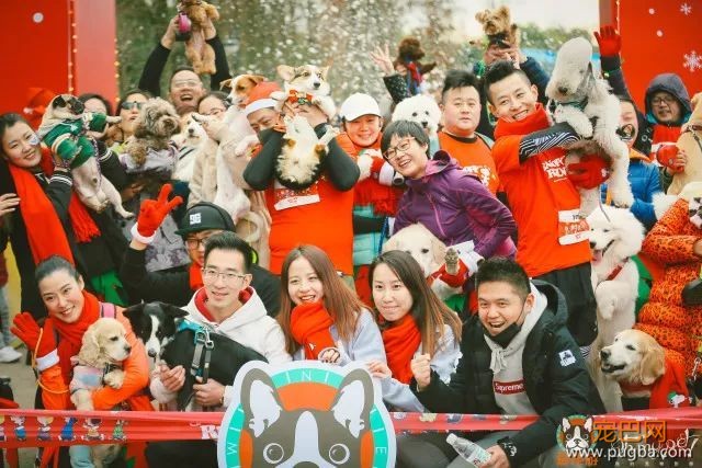 魔都最盛大の宠物亲子聚会！满足你对圣诞的全部幻想，还能瓜分50万大奖哦！-2.jpeg