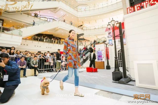 魔都最盛大の宠物亲子聚会！满足你对圣诞的全部幻想，还能瓜分50万大奖哦！-13.jpeg