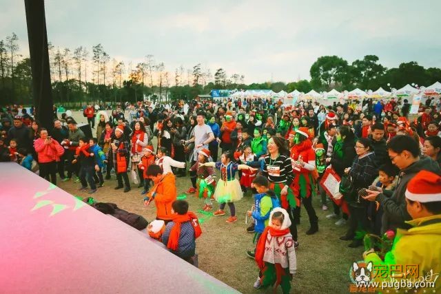 魔都最盛大の宠物亲子聚会！满足你对圣诞的全部幻想，还能瓜分50万大奖哦！-10.jpeg