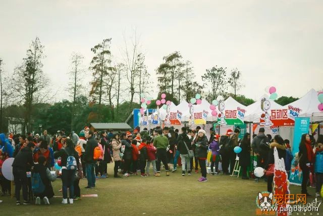 魔都最盛大の宠物亲子聚会！满足你对圣诞的全部幻想，还能瓜分50万大奖哦！-15.jpeg