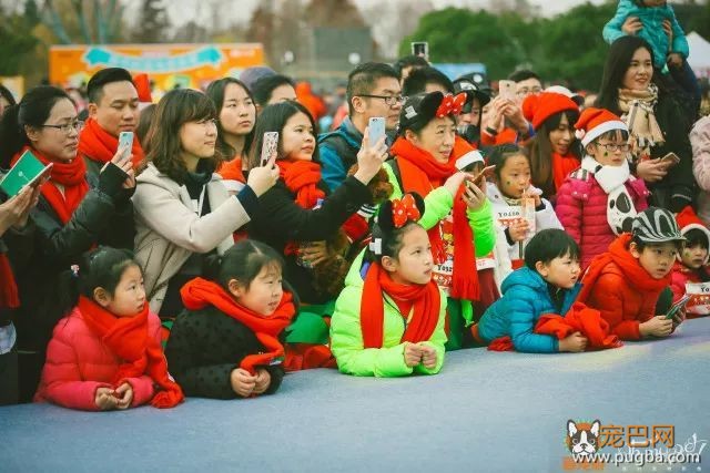 魔都最盛大の宠物亲子聚会！满足你对圣诞的全部幻想，还能瓜分50万大奖哦！-17.jpeg