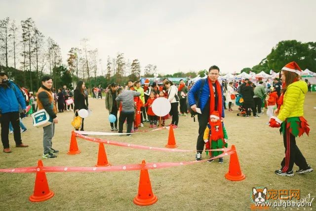 魔都最盛大の宠物亲子聚会！满足你对圣诞的全部幻想，还能瓜分50万大奖哦！-19.jpeg