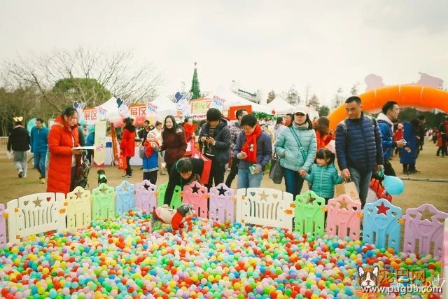 魔都最盛大の宠物亲子聚会！满足你对圣诞的全部幻想，还能瓜分50万大奖哦！-18.jpeg