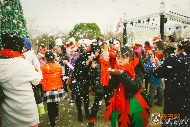 魔都最盛大の宠物亲子聚会！满足你对圣诞的全部幻想，还能瓜分50万大奖哦！-30.jpeg