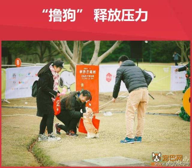 魔都最盛大の宠物亲子聚会！满足你对圣诞的全部幻想，还能瓜分50万大奖哦！-43.jpeg