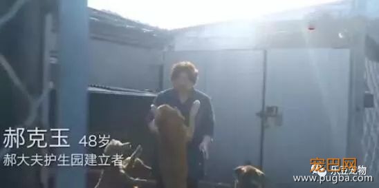 1000只流浪狗，1000张嘴，她卖了三套房子才勉强养的起…-4.jpeg