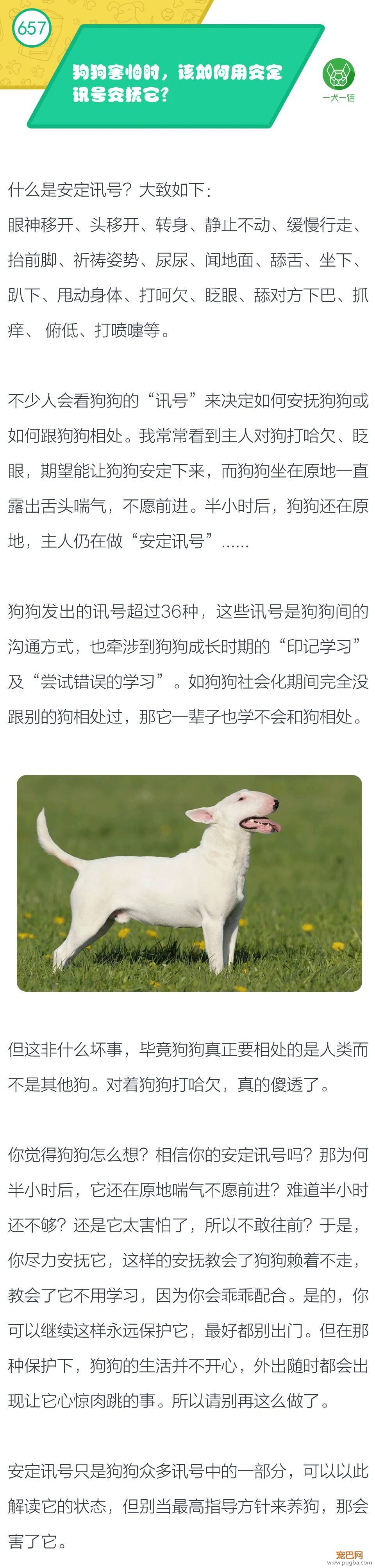 狗狗害怕时，该如何用安定讯号安抚它？-1.jpeg