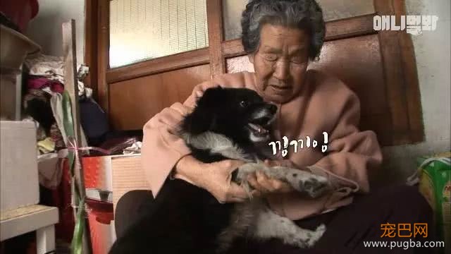 3腿忠犬走路不便，扔坚持陪伴80多岁婆婆：没有它，我可能早死了-11.jpeg