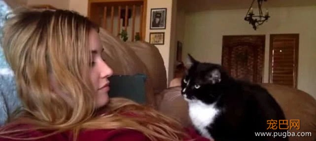 女主人每次去撸猫咪，猫咪都要以牙还牙，看到下幕网友坐不住了-1.jpeg