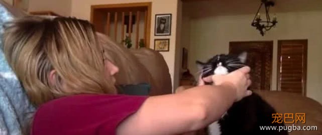 女主人每次去撸猫咪，猫咪都要以牙还牙，看到下幕网友坐不住了-3.jpeg