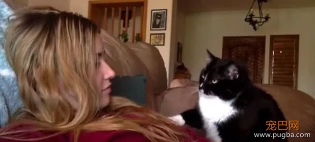女主人每次去撸猫咪，猫咪都要以牙还牙，看到下幕网友坐不住了-2.jpeg