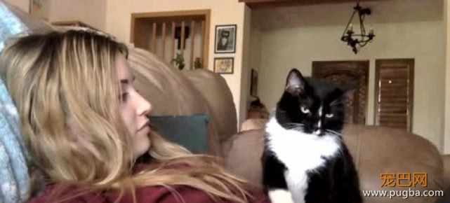 女主人每次去撸猫咪，猫咪都要以牙还牙，看到下幕网友坐不住了-6.jpeg