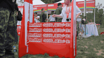 奔跑在撒哈拉沙漠地狱马拉松的一只狗-10.gif