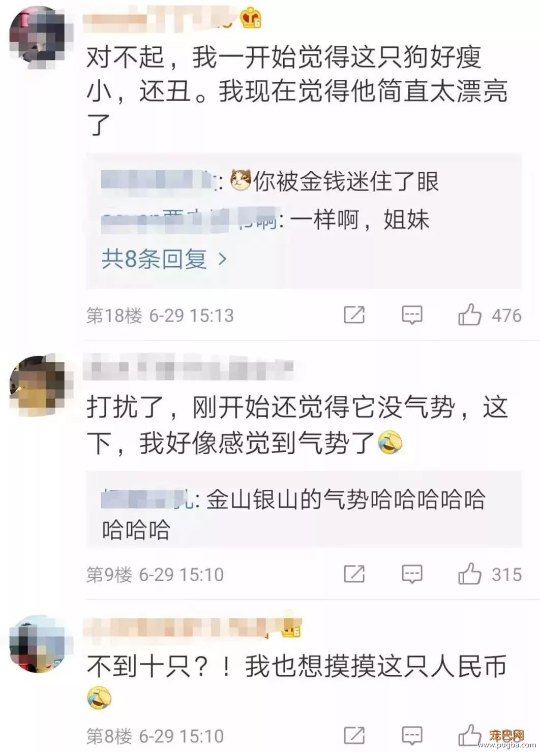 长安十二时辰，最火最贵的演员居然是它，全世界就剩十只！-6.jpeg