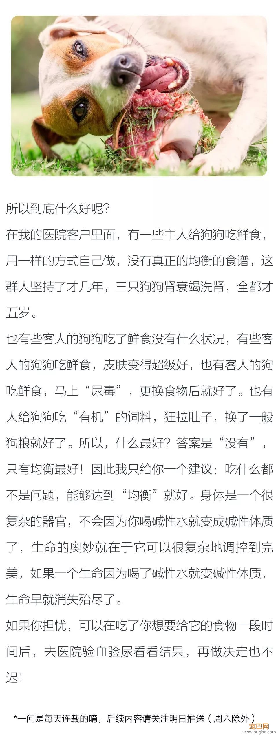 有些人说给狗狗吃鲜粮比吃饲料好，是真的吗？-3.jpeg