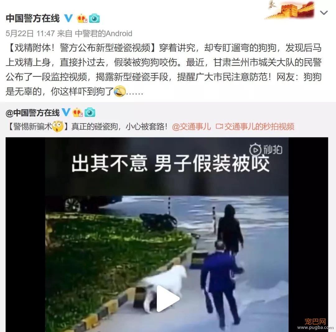 碰瓷党盯上了狗狗，警方提醒，家里养狗的都要注意防范！-1.jpeg