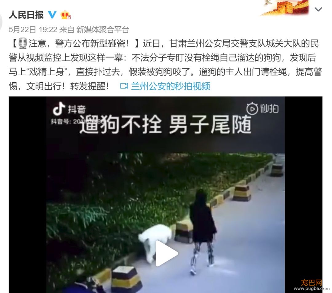 碰瓷党盯上了狗狗，警方提醒，家里养狗的都要注意防范！-3.jpeg
