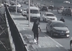 碰瓷党盯上了狗狗，警方提醒，家里养狗的都要注意防范！-9.gif