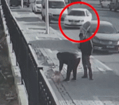 碰瓷党盯上了狗狗，警方提醒，家里养狗的都要注意防范！-11.gif