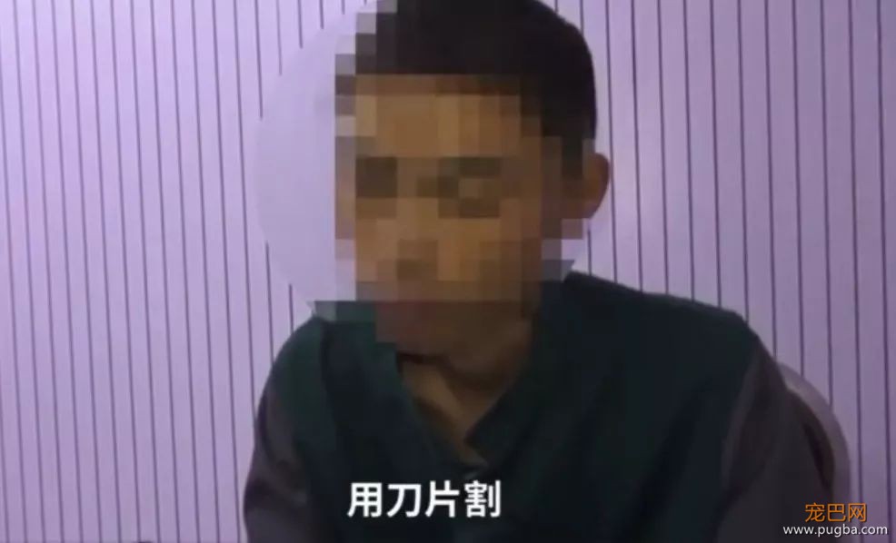 碰瓷党盯上了狗狗，警方提醒，家里养狗的都要注意防范！-12.jpeg