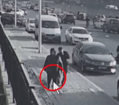 碰瓷党盯上了狗狗，警方提醒，家里养狗的都要注意防范！-10.gif