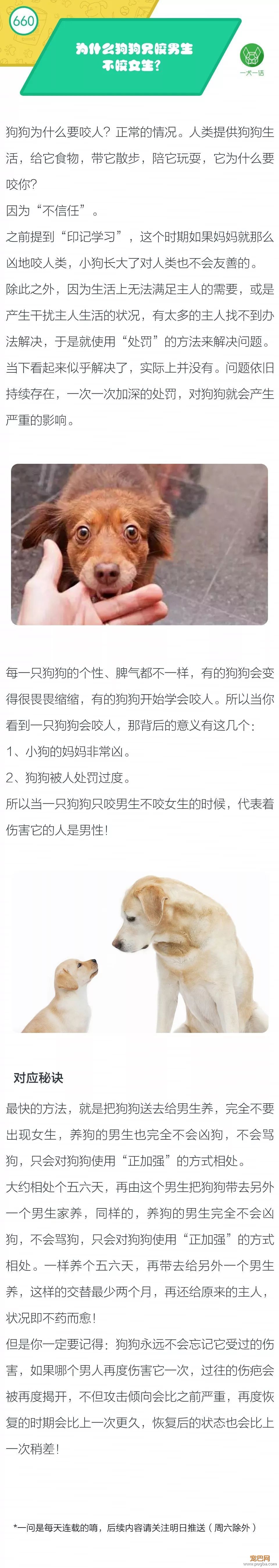 为什么狗狗只咬男生不咬女生？-1.jpeg