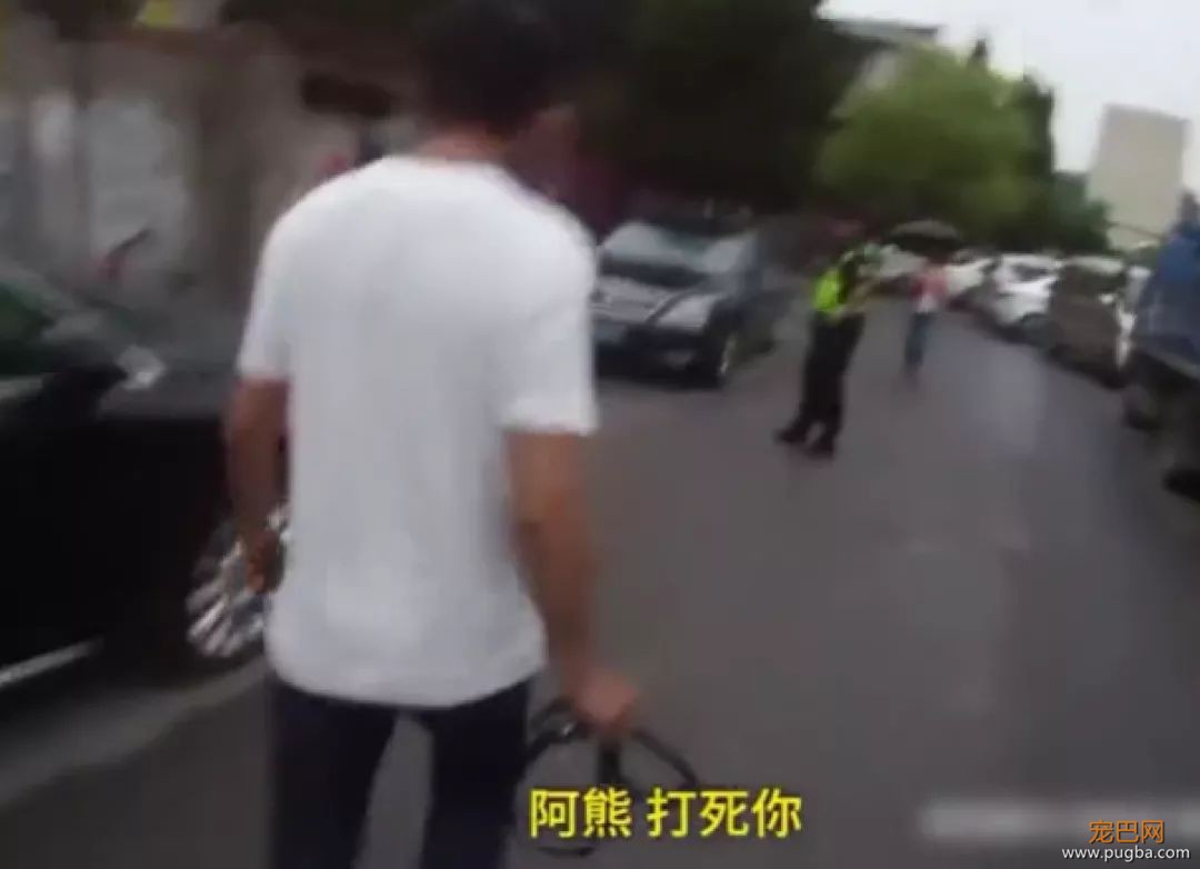 听说养萨摩的主人都哭了...被这货蠢哭的！-4.jpeg