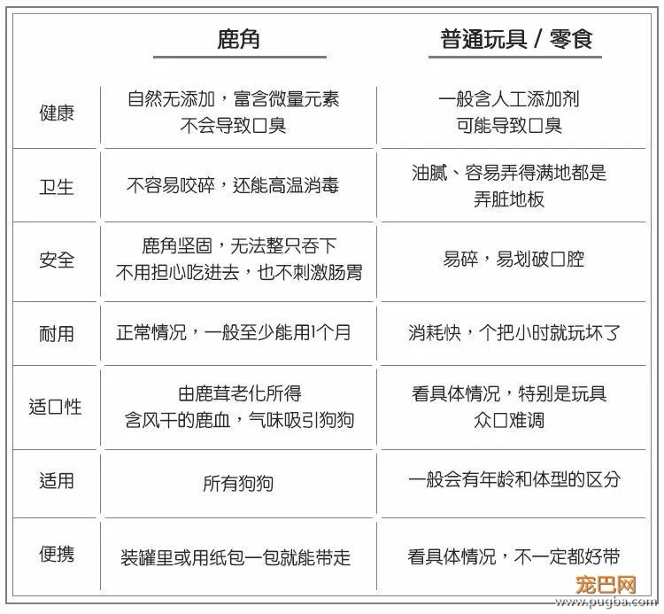 欧美狗狗爱不释手的磨牙玩具，竟然是森林里捡的？！-10.jpeg