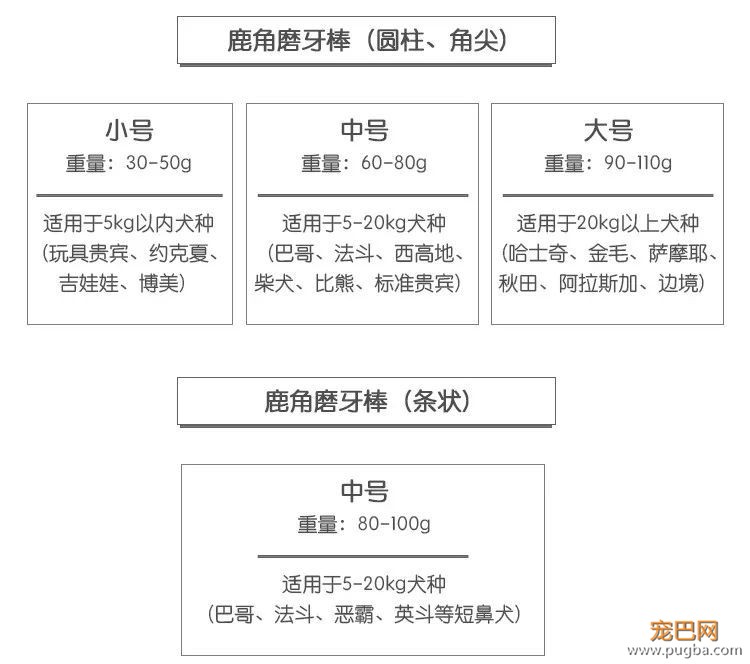 欧美狗狗爱不释手的磨牙玩具，竟然是森林里捡的？！-17.jpeg
