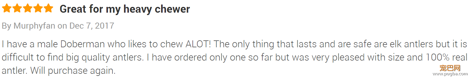 欧美狗狗爱不释手的磨牙玩具，竟然是森林里捡的？！-22.png