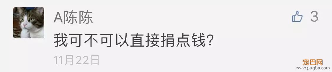 明晚直播丨为流浪狗义卖，这次还有KONG和Smart Bones哦-4.jpeg
