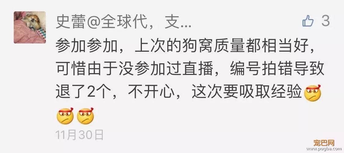 明晚直播丨为流浪狗义卖，这次还有KONG和Smart Bones哦-1.jpeg