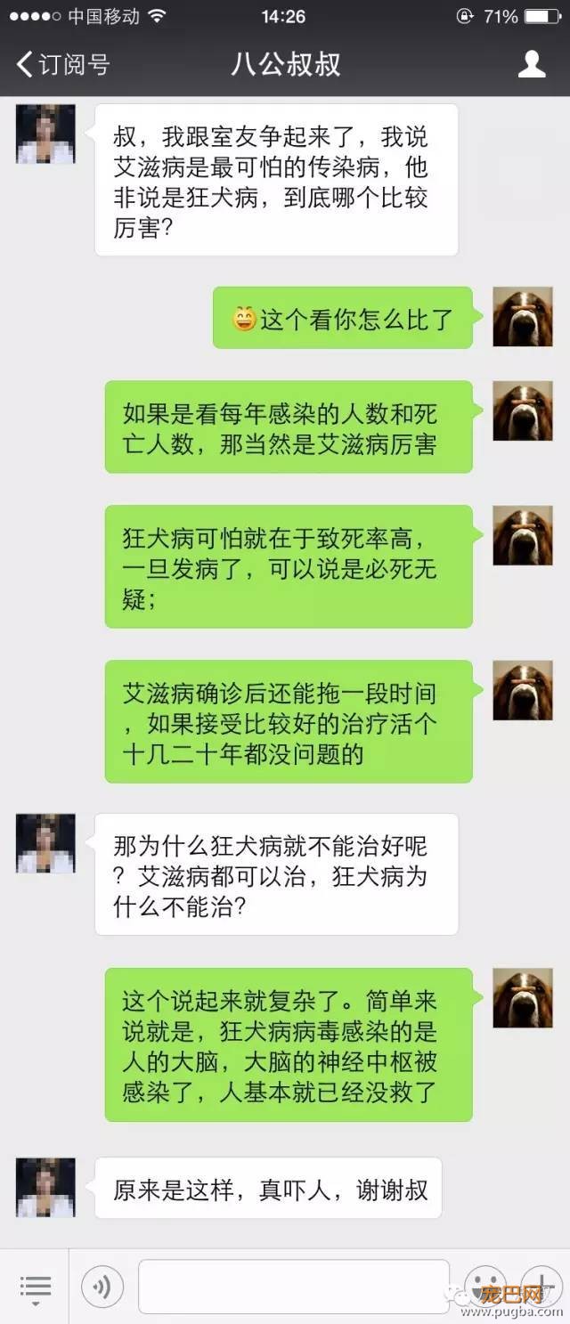 狂犬病和艾滋病，哪个更严重？正确了解狂犬病-1.jpeg