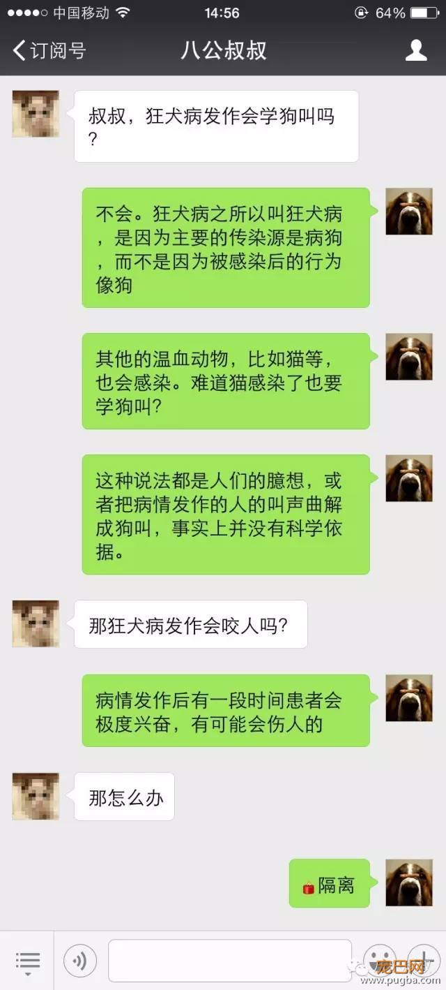 狂犬病和艾滋病，哪个更严重？正确了解狂犬病-2.jpeg