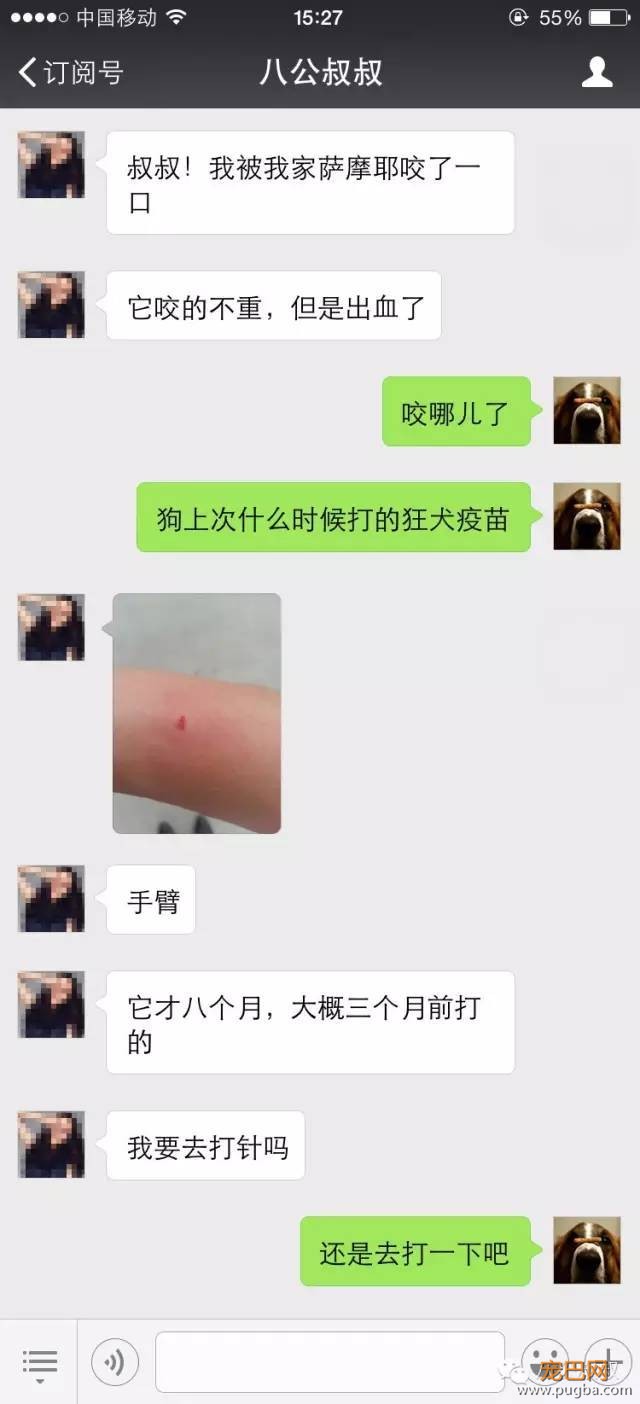 狂犬病和艾滋病，哪个更严重？正确了解狂犬病-4.jpeg