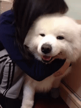 有时候，世界上那个最勇敢保护你的人，不是别人，正是你的母亲-5.gif