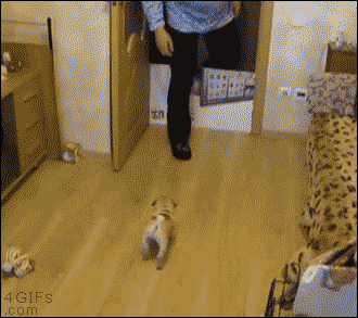 有时候，世界上那个最勇敢保护你的人，不是别人，正是你的母亲-4.gif