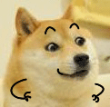 繁殖者：“我们可以什么都没有，但一定要脚踏实地”-5.gif