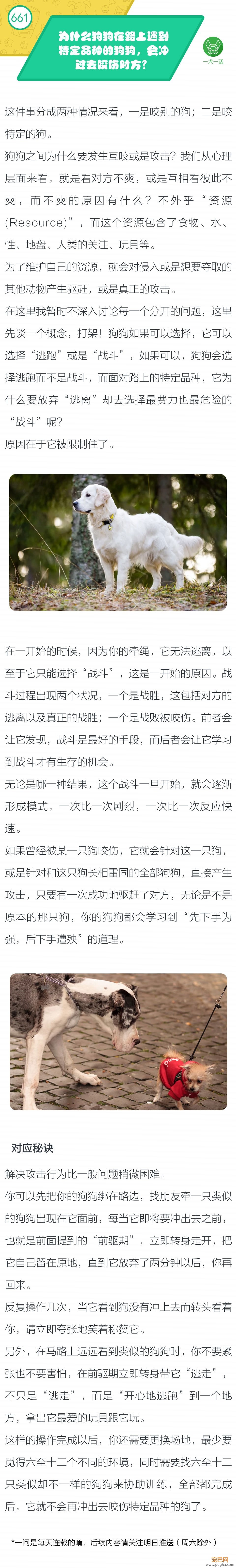 为什么狗狗在路上遇到特定品种的狗狗，会冲上去咬伤对方？-1.jpeg