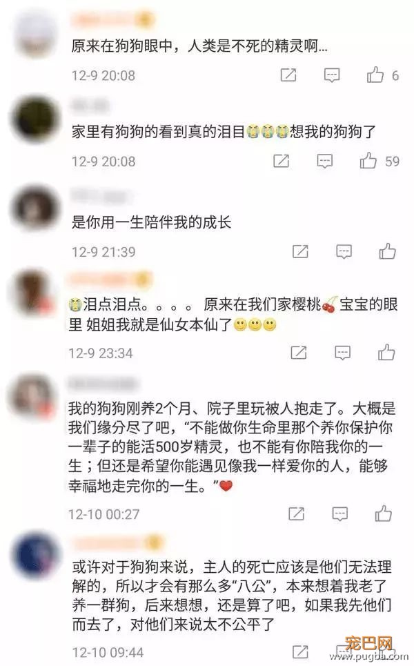 在狗狗的世界里，人类都是能活500岁的精灵-8.jpeg