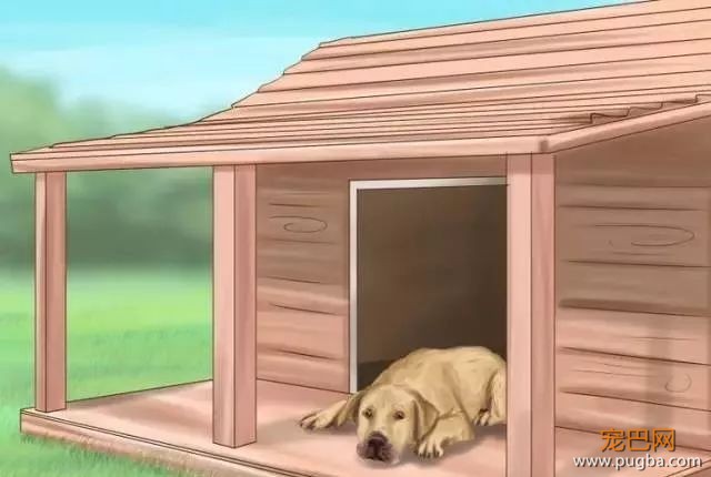 夏季狗狗第一杀手——别害死爱犬-20.jpeg