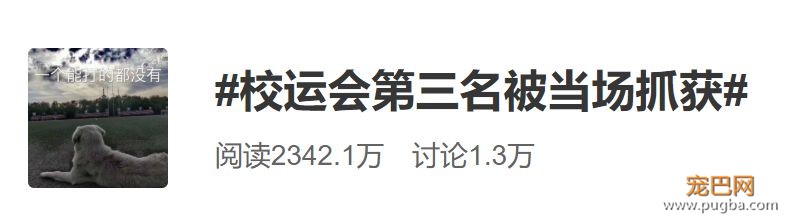霸占了昨天头条的这条狗，你一定要认识一下！-2.jpeg