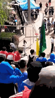 霸占了昨天头条的这条狗，你一定要认识一下！-7.gif