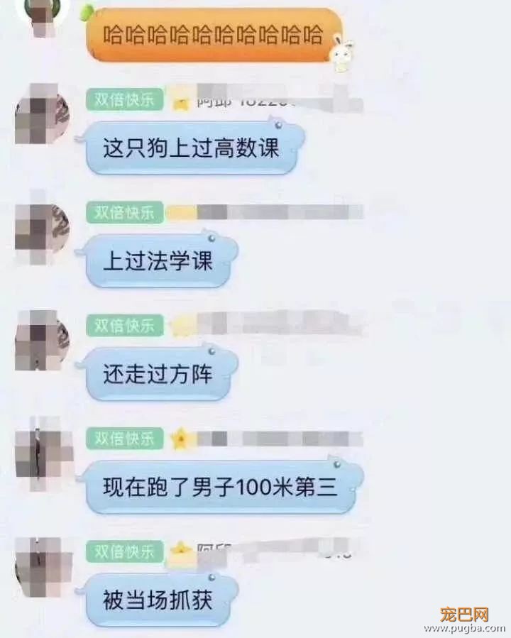霸占了昨天头条的这条狗，你一定要认识一下！-11.jpeg